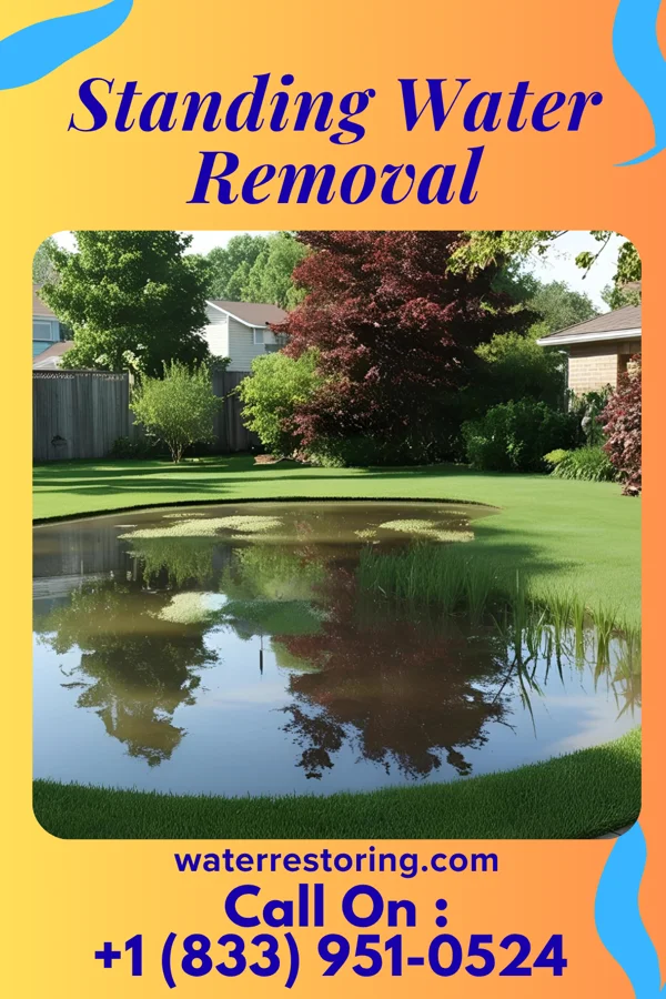Standing Water Removal in Hot Sulphur Springs, CO